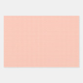 Elegant Frans Shabby Chic Floral Art Pattern Inpakpapier Vel (Voorkant 2)