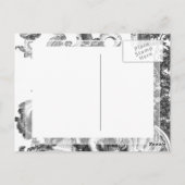 Elegant  Frans Zwart-wittewit Briefkaart (Achterkant)