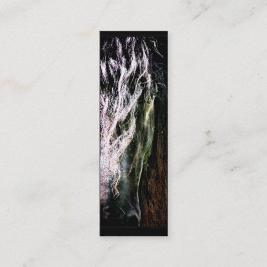 Elegant Friesian Visitekaartjes (Voorkant)