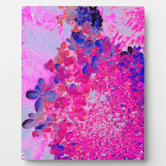 Elegant Fuchsia and Dark Blue Limited Hydrangea Fotoplaat (Voorkant)