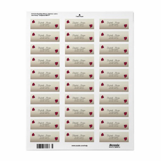 Elegant Funny Cute Ladybugs Label (Full Sheet)