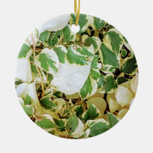 Elegant Garden Rustic Keramisch Ornament (Voorkant)