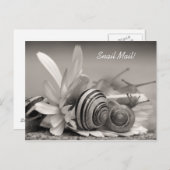 Elegant Garden Slakken op Gerber Daisy Flower Briefkaart (Voorkant / Achterkant)