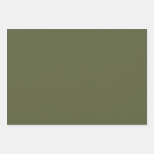 Elegant gedempt mos groen Minimalistisch en chique Inpakpapier Vel (Voorkant 2)