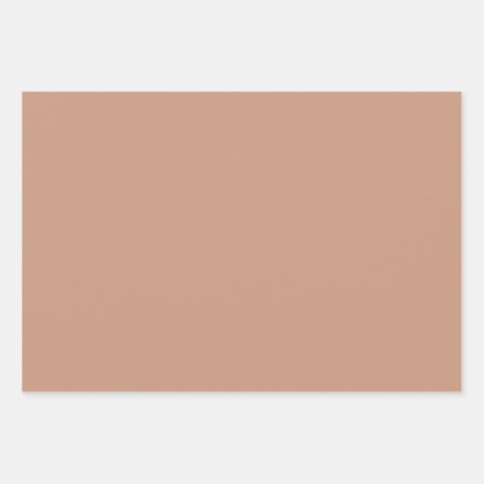 Elegant gedempt roze Minimalistisch en chique Inpakpapier Vel (Voorkant 2)