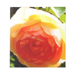 Elegant geel perzik rode abrikoos bloemig roos notitieblok