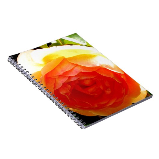 Elegant geel perzik rode abrikoos bloemig roos notitieboek (Rechterzijde)