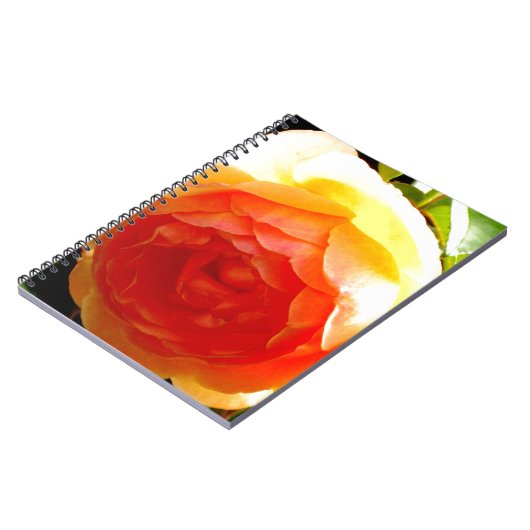 Elegant geel perzik rode abrikoos bloemig roos notitieboek (Linkerzijde)