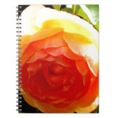 Elegant geel perzik rode abrikoos bloemig roos notitieboek (Voorkant)