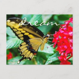 Elegant geel zwart vlinderfotodroomschrift briefkaart
