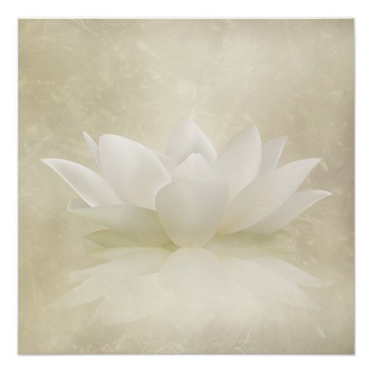 Elegant Gentle White Lotus/Lily flower Poster (Voorkant)