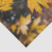 "Elegant gepatrooneerd tissuepapier" Tissuepapier (Detail)