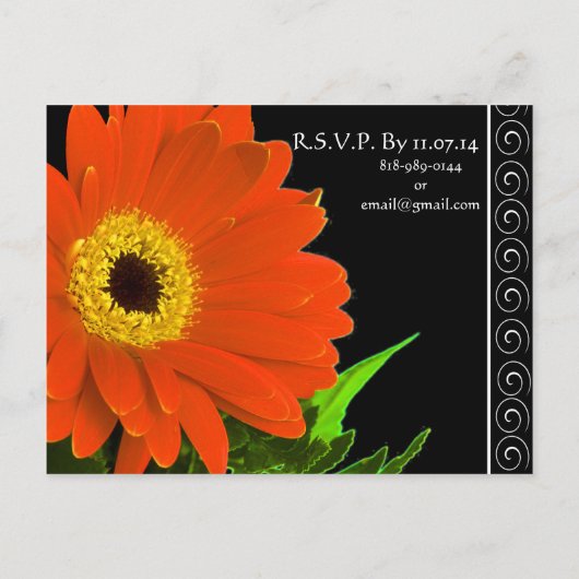 Elegant Gerber Daisy Wedding Invitation Uitnodiging Briefkaart (Achterkant)