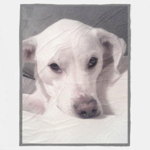 Elegant getierde ogen Cute Labrador Mix Dog Gray Fleece Deken
