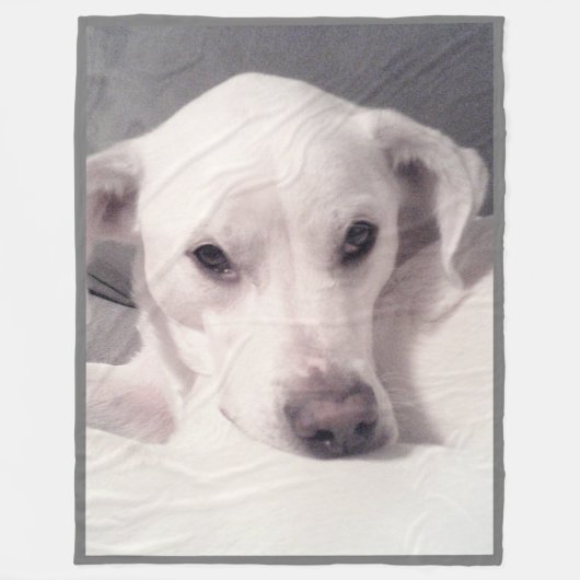 Elegant getierde ogen Cute Labrador Mix Dog Gray Fleece Deken (Voorkant)