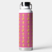 Elegant Gold Airplane World Wereldbol, Minimalisti Waterfles (Achterkant)