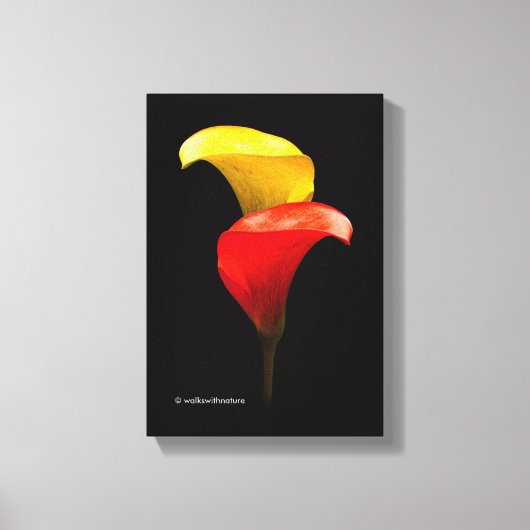 Elegant Gold en Crimson Calla Lilies Canvas Afdruk (Voorkant)