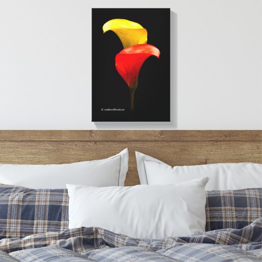 Elegant Gold en Crimson Calla Lilies Canvas Afdruk (Insitu (Slaapkamer))