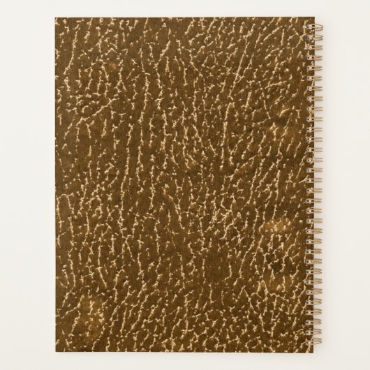 Elegant Gold Monogram Luxe Textuur Gold Lettering Planner (Achterkant)