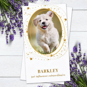 Elegant Gold Stars Aangepaste foto QR Sociale medi Visitekaartje