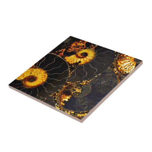 Elegant Golden Nautilus abstract zwart goud Tegeltje (Zijkant)