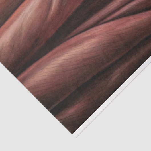  Elegant Gothic Floral & Raven Furniture Decoupage Tissuepapier (Detail)