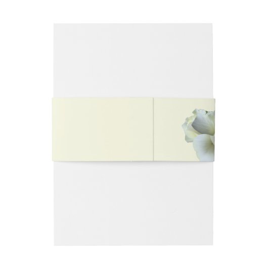 Elegant Goud Script Wit Rose Dubbel Lijst Uitnodigingen Wikkel (Achterkant Voorbeeld)