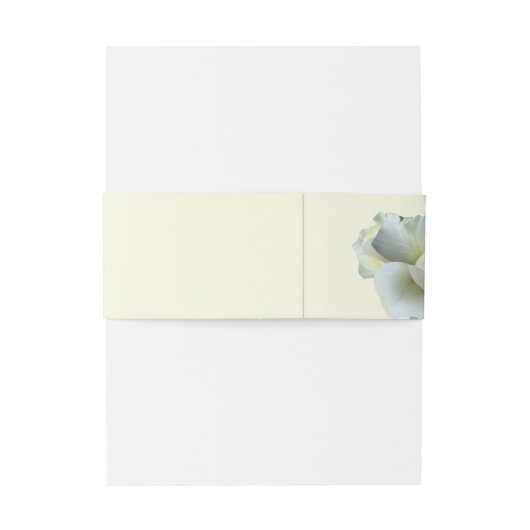 Elegant Goud Script Wit Rose Dubbel Lijst Uitnodigingen Wikkel (Achterkant Voorbeeld)