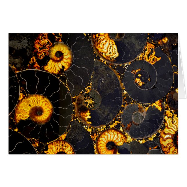 Elegant gouden nautilus ontwerp (Voorkant Horizontaal)