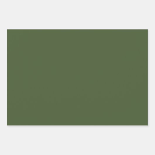 Elegant gras groen Minimalistisch en chique Inpakpapier Vel (Voorkant 3)