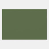 Elegant gras groen Minimalistisch en chique Inpakpapier Vel (Voorkant)