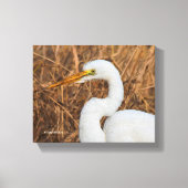 Elegant Great Egret in de Reeds Canvas Afdruk (Voorkant)