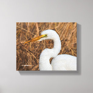Elegant Great Egret in de Reeds Canvas Afdruk