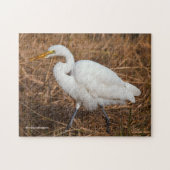 Elegant Great Egret in de Reeds Legpuzzel (Horizontaal)