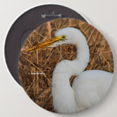 Elegant Great Egret in de Reeds Ronde Button 6,0 Cm (Voorkant /achterkant)