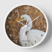 Elegant Great Egret Wading Bird in Reeds (Voorkant)