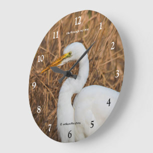Elegant Great Egret Wading Bird in Reeds Grote Klok