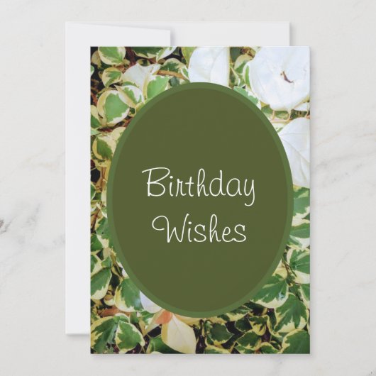 Elegant Green Birthday Wish Feestdagenkaart (Voorkant)