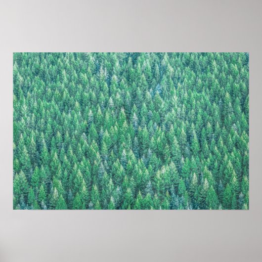 Elegant Green Pine Trees Artwork | POSTER (Voorkant)
