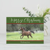 Elegant Green Red Arabian Horse 1 Feestdagenkaart (Staand voorkant)