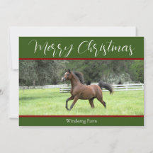 Elegant Green Red Arabian Horse 1