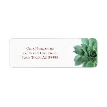 Elegant Green Succulent Return-adres