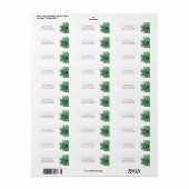 Elegant Green Succulent Return-adres Etiket (Full Sheet)