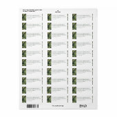 Elegant Green Tropical Palm Etiket (Full Sheet)