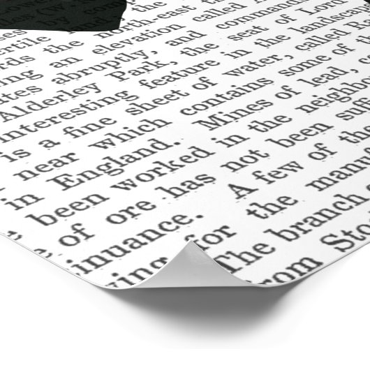 Elegant Greyhound en Red Umbrella Poster (Hoek)