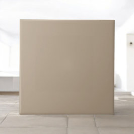 Elegant grijsachtig Sinaasappel Modern & minimalis Tegeltje