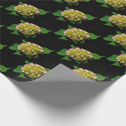 Elegant groen geel roze Hydrangea patroon Cadeaupapier (Hoek)