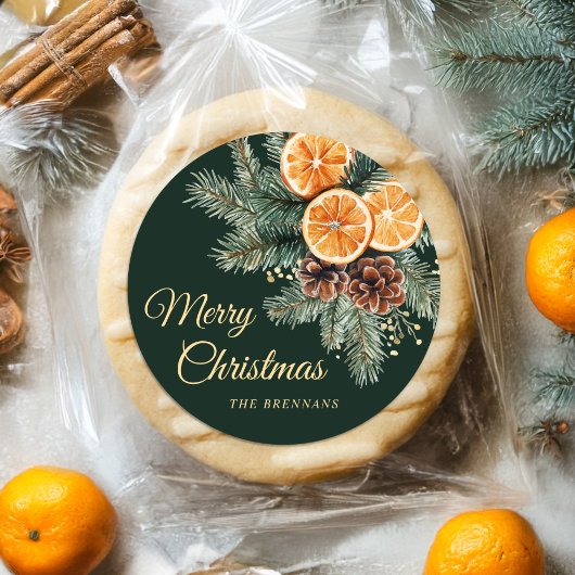 Elegant groen Sinaasappel Citrus Vrolijk Kerstfees Ronde Sticker