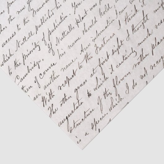 Elegant  handgeschreven Letter-script Tissuepapier (Detail)