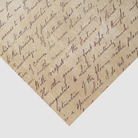 Elegant  handgeschreven Letter-script Tissuepapier (Detail)